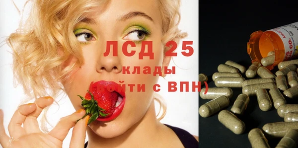 эйфоретик Баксан