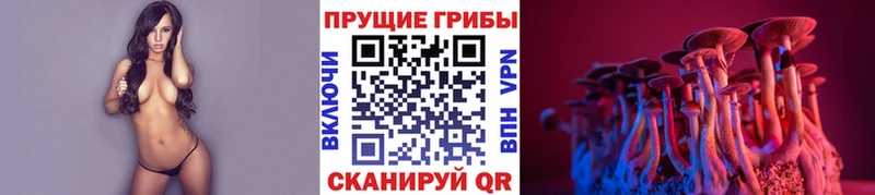 продажа наркотиков  Ревда  Псилоцибиновые грибы MAGIC MUSHROOMS 